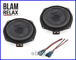 BLAM 8 Inch Under Seat Subwoofer Upgrade Kit for BMW 5-Series F07, F10 and F11