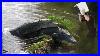 Seducing_Alligators_With_Subwoofers_01_zbb